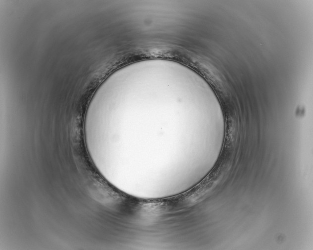 X0000090460461200708102115