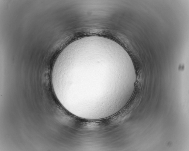 X0000090460462200708102115