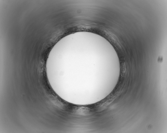 X0000090460463200708102115