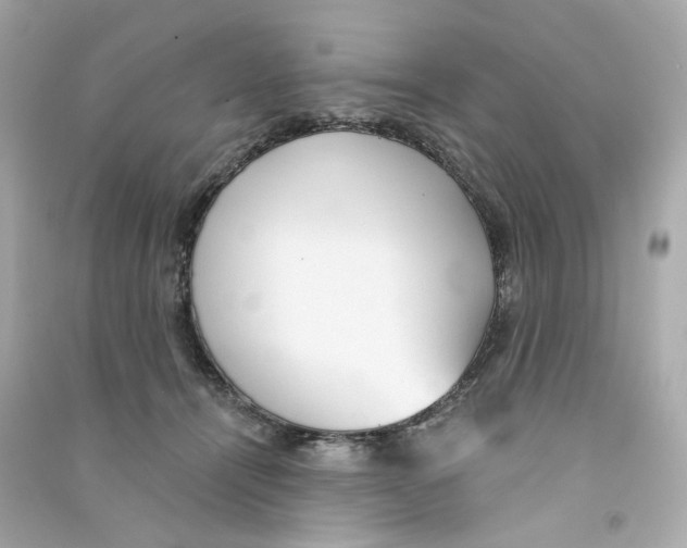 X0000090460464200708102115
