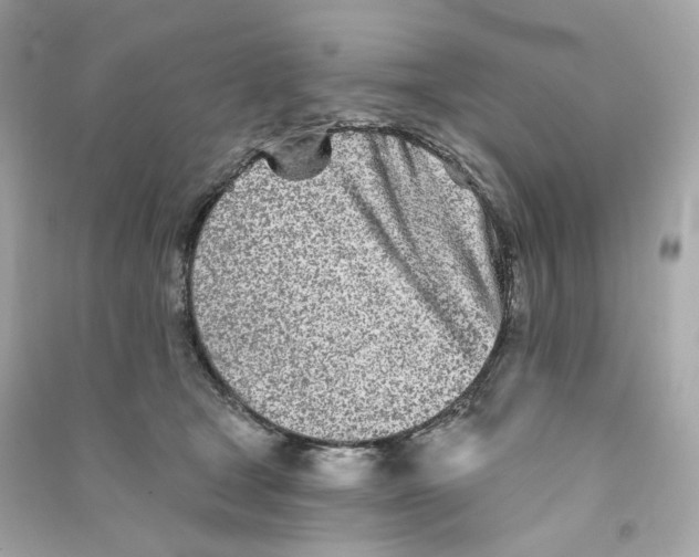 X0000090460465200708102115