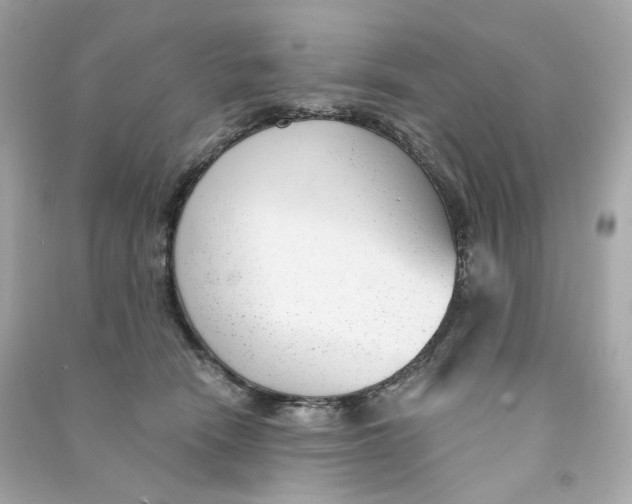 X0000090460466200708102115