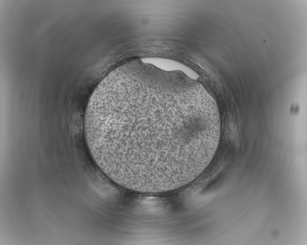 X0000090460467200708102115