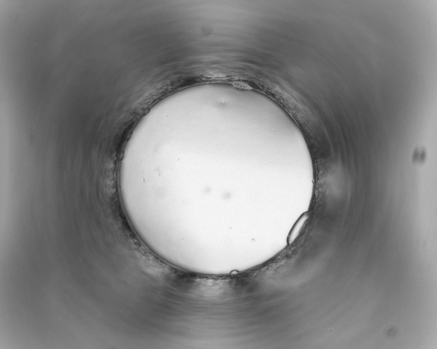 X0000090460469200708102115