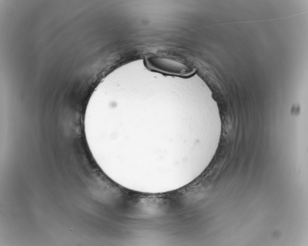 X0000090460470200708102115