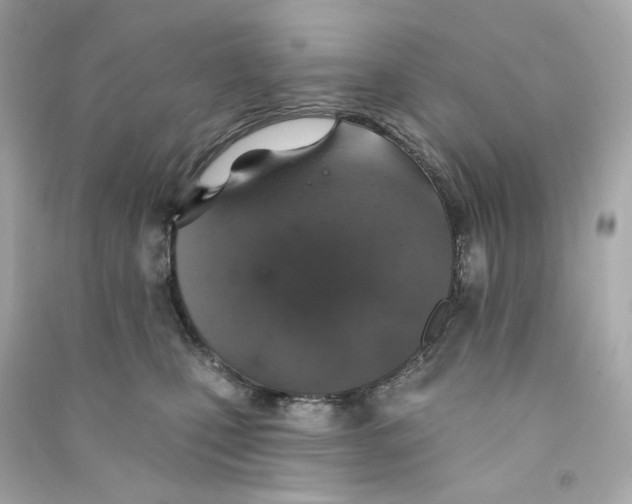 X0000090460471200708102115