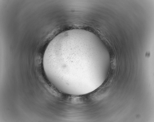 X0000090460472200708102115