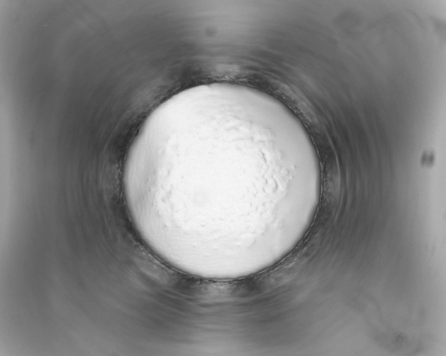 X0000090460473200708102115