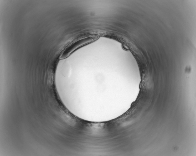 X0000090460474200708102115