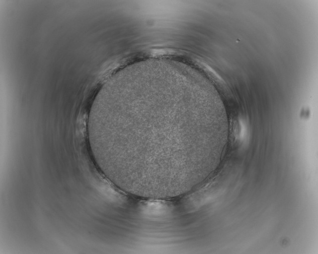 X0000090460475200708102115