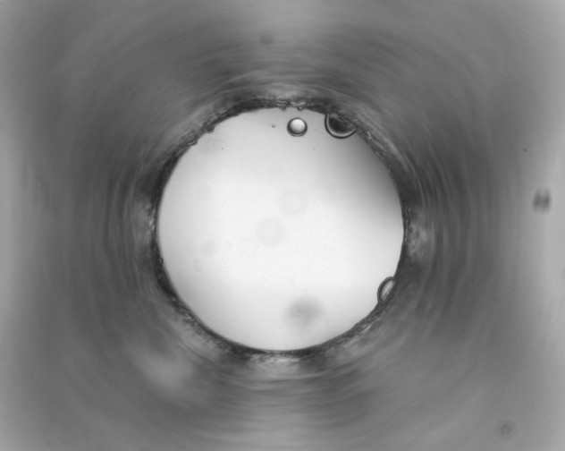 X0000090460476200708102115