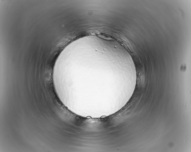 X0000090460477200708102115