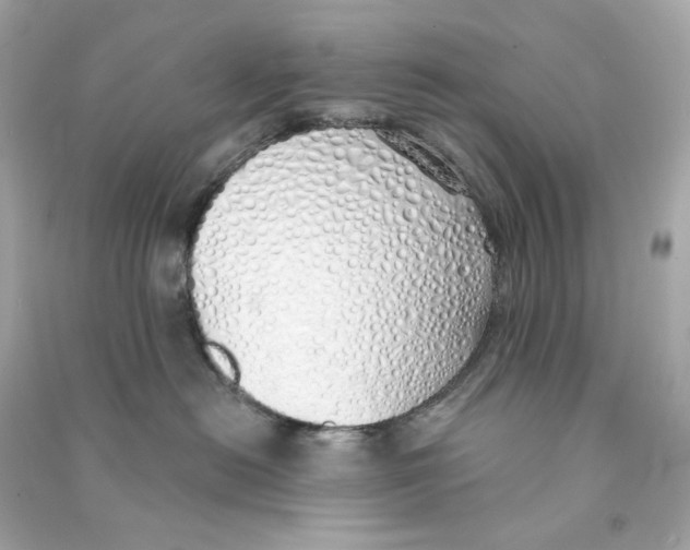 X0000090460478200708102115