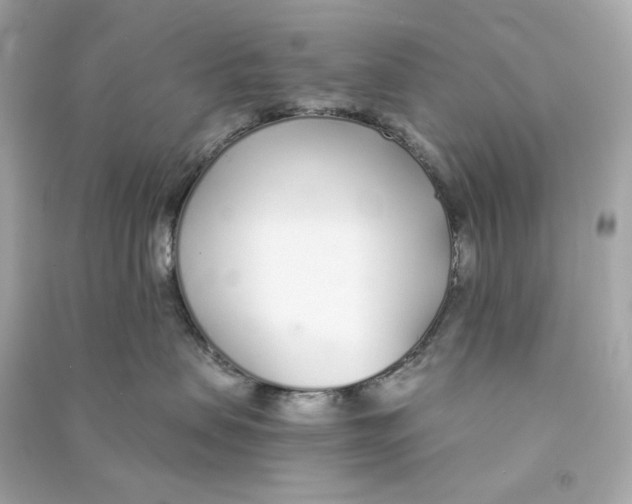 X0000090460479200708102115