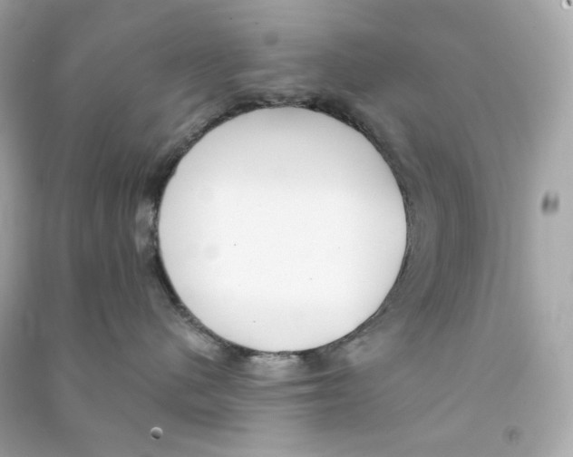 X0000090460480200708102115