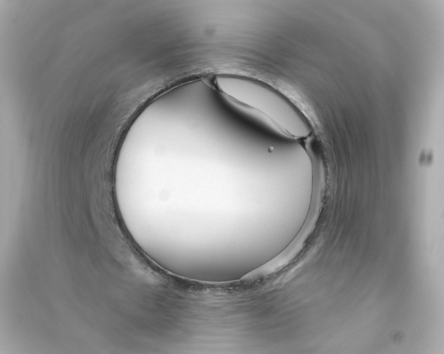 X0000090460481200708102114