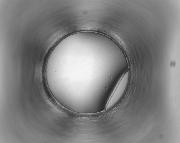 X0000090460482200708102114