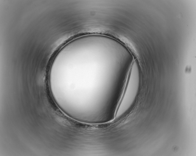 X0000090460483200708102114