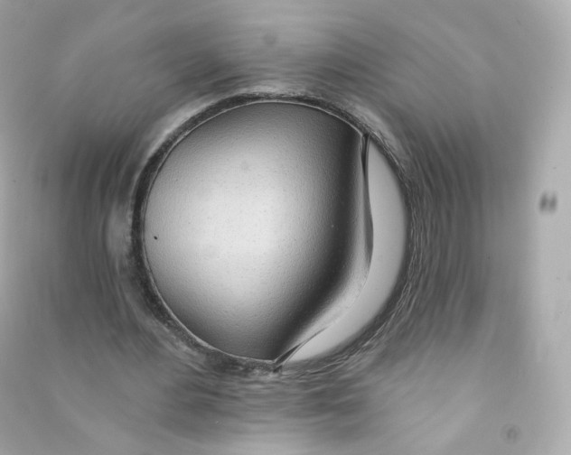 X0000090460484200708102114