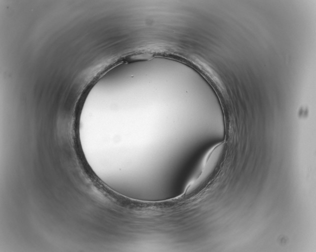 X0000090460485200708102114