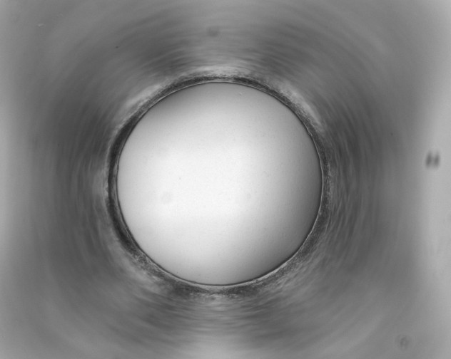 X0000090460486200708102114