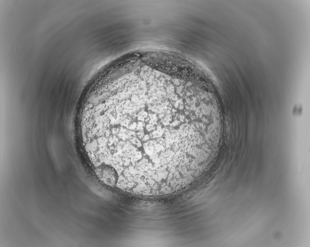 X0000090460487200708102114