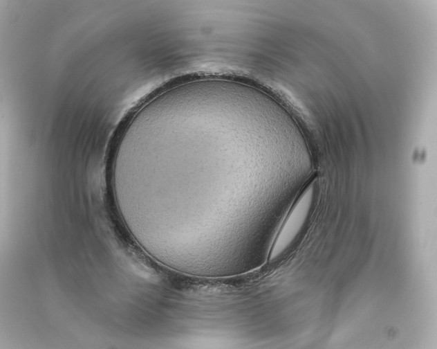 X0000090460488200708102114