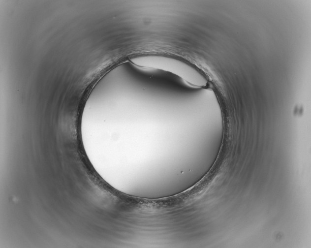 X0000090460489200708102114