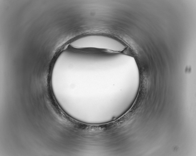 X0000090460491200708102114