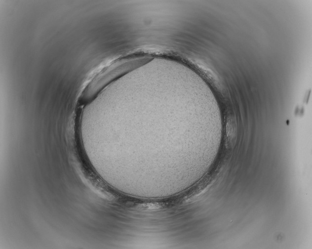 X0000090460492200708102114
