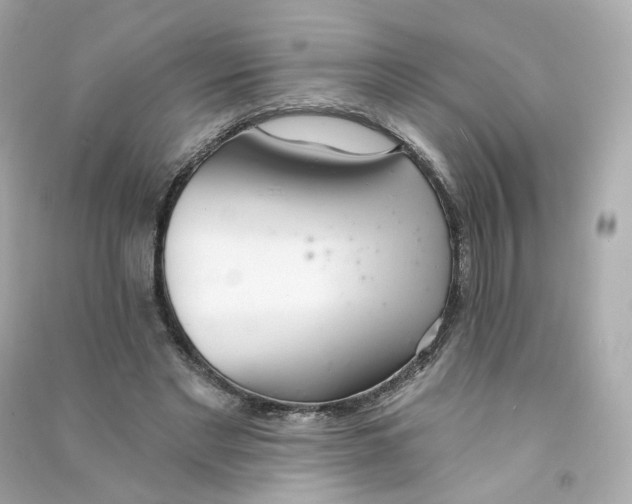 X0000090460493200708102114