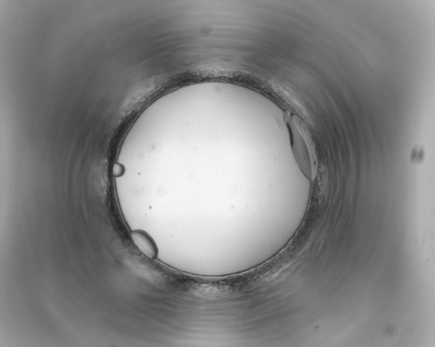 X0000090460494200708102114