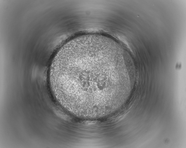 X0000090460495200708102114