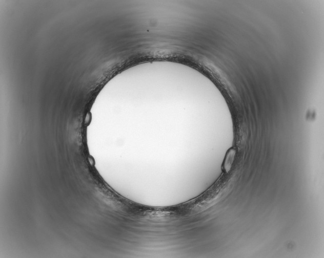 X0000090460497200708102114