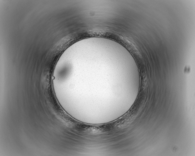 X0000090460498200708102114