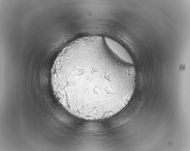 X0000090460499200708102114