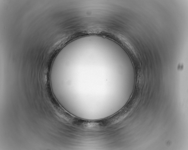 X0000090460501200708102114