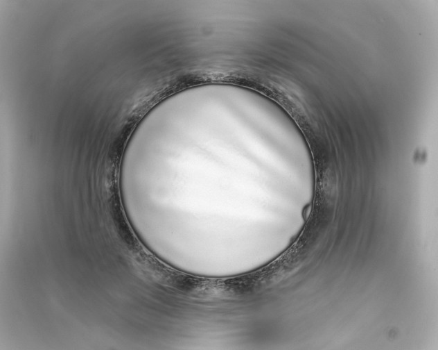 X0000090460503200708102114