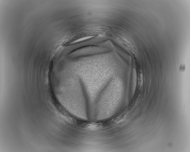 X0000090460504200708102114