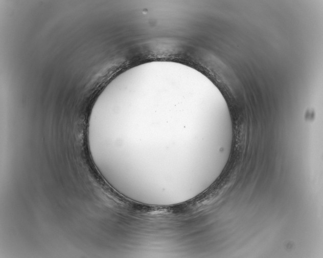 X0000090460505200708102114