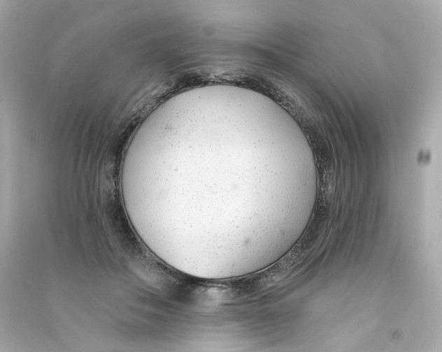 X0000090460506200708102114
