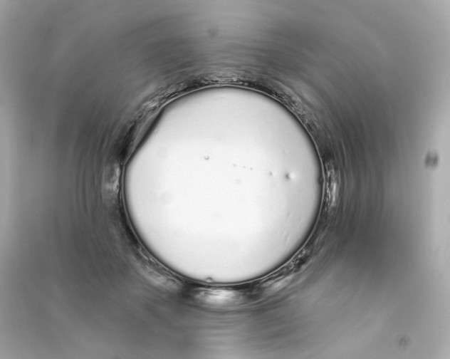 X0000090460507200708102114