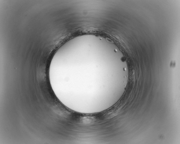 X0000090460508200708102114