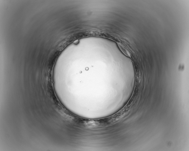 X0000090460511200708102114