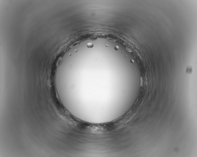 X0000090460512200708102114