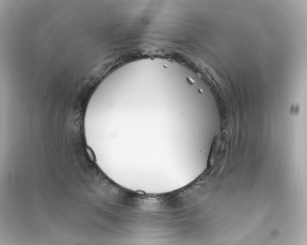 X0000090460513200708102114