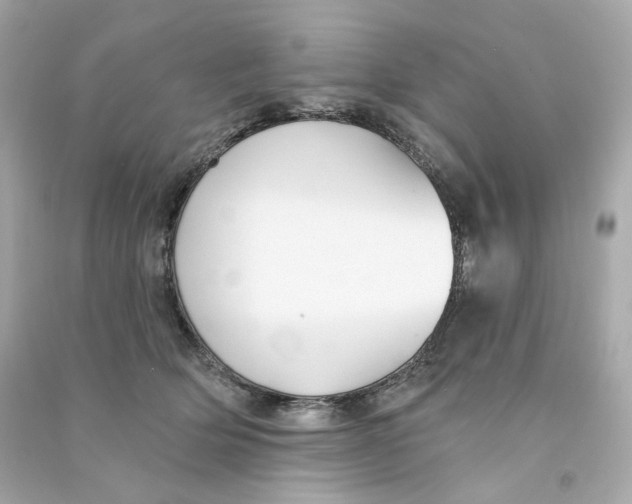 X0000090460514200708102114