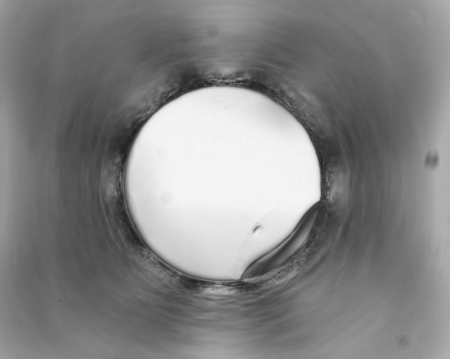 X0000090460515200708102114