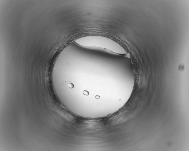 X0000090460516200708102114