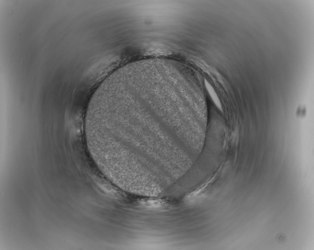 X0000090460517200708102114